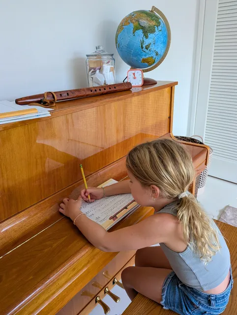 Student music lesson, photo 9