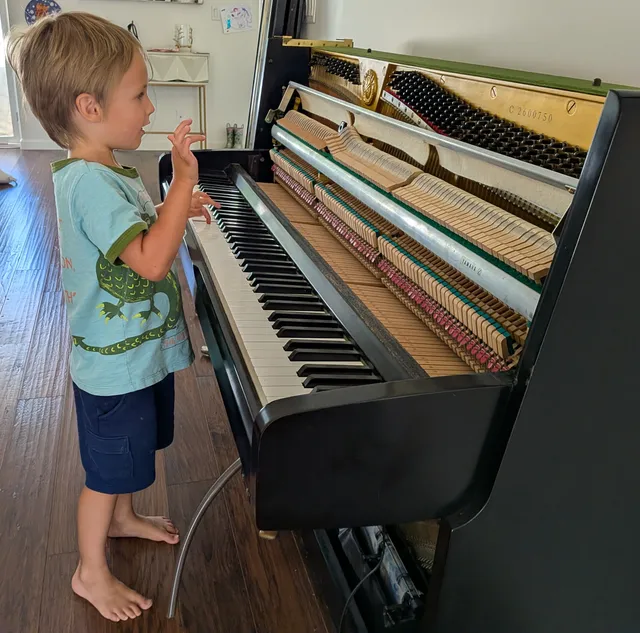 Student music lesson, photo 22