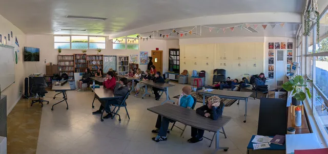 Student music lesson, photo 14